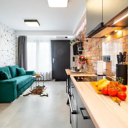 Apartament Typu Studio Berga *